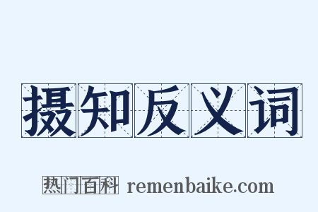摄知反义词是什么意思的图片